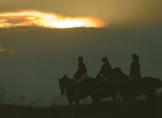 horseback riding in a sunset 